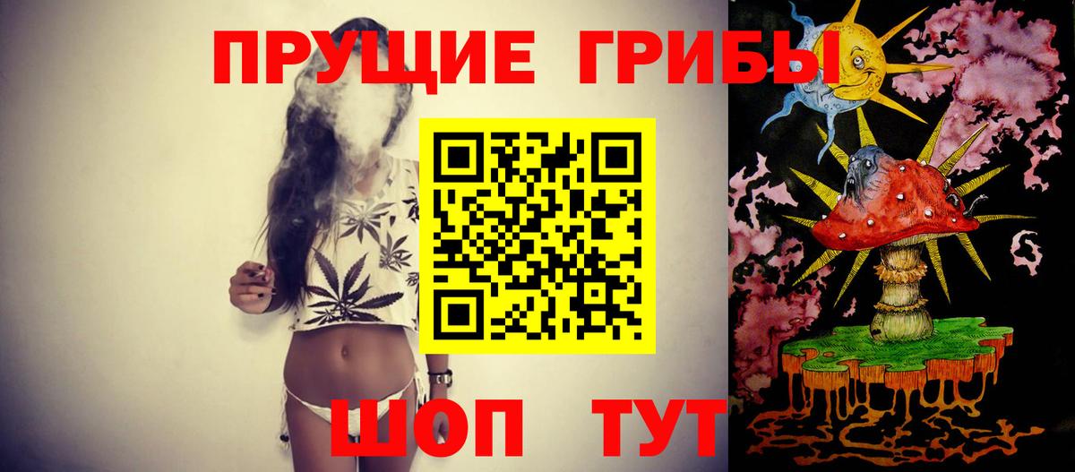 Псилоцибиновые грибы GOLDEN TEACHER  Вход с VPN  Соликамск  Псилоцибиновые грибы ЛСД 